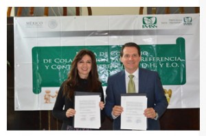 interiorimss