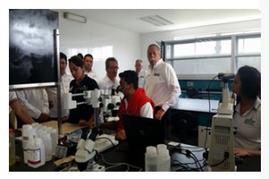 interioresguniversidaddelmar