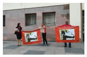 interioresprotestamaestros18062'16