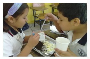 interioreseducacionciencias29082016