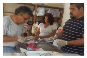 interioresesterilizacion18082016