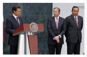 interioresepn_videgaray07092016