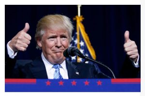 interiordonald