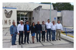 interiorimss