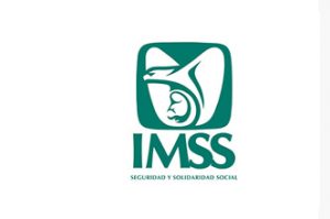 interiorimss