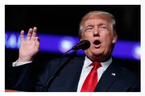 interiortrump